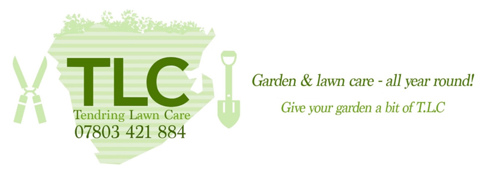 TLC_4-20Wb.jpg